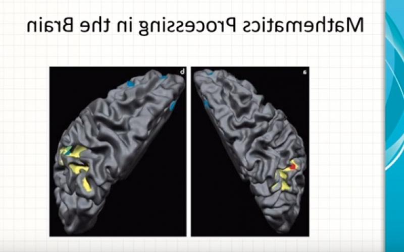 大脑扫描图像的数学处理