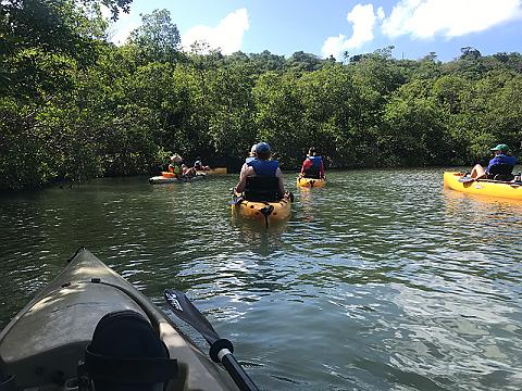 具有里程碑意义的大学生在加勒比海的盐河上划皮艇
